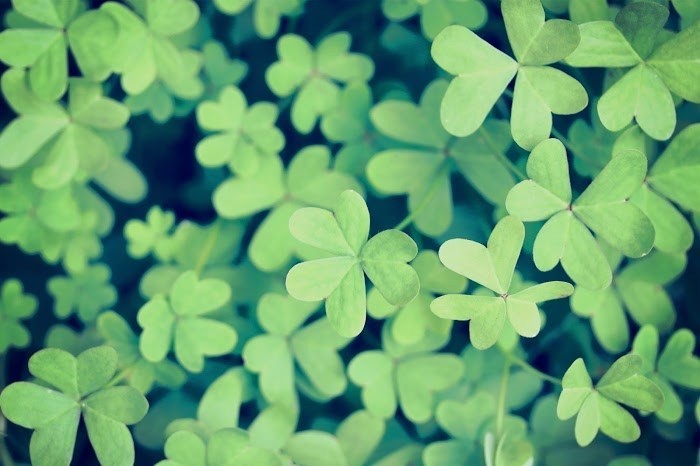 6月29日生まれの人の特徴と性格 運勢と運気 蟹座男性の特徴 Uranaru ウラナル 6月29日生まれの人の特徴と性格 運勢と運気 蟹座男性の特徴 Uranaru ウラナル