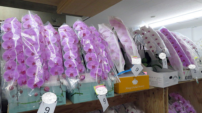 圧倒的な花の取扱量が自慢。会社の顔として誇りを持って働けるPREMIERGARDEN